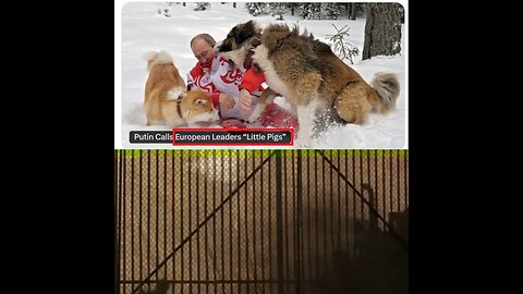 - Putin called European leaders «pigs».
