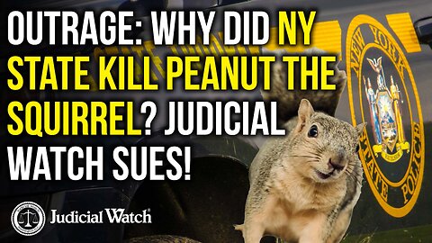 OUTRAGE: Why did NY State KILL Peanut the Squirrel? Judicial Watch SUES!