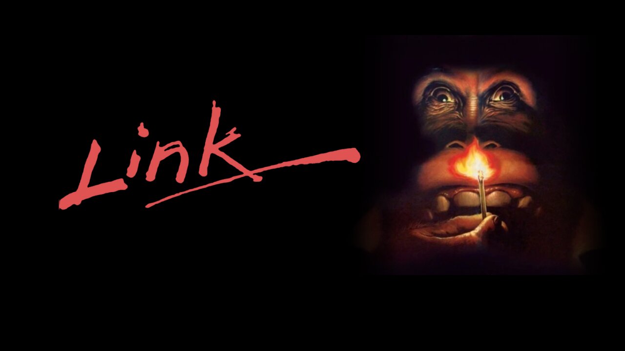 Link (1986)