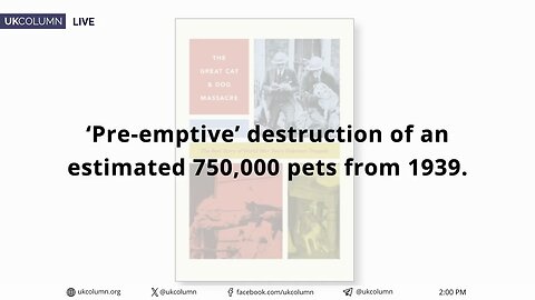 Petition to Ban Non-Stun Slaughter: Government Pays Lip Service to Animal Welfare | UK Column News