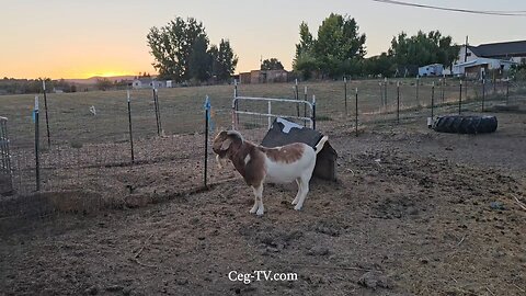 Graham Family Farm NW: 8:30 PM August 11 2025