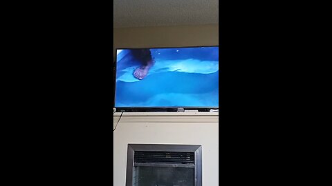 wtf 🐟 🐠
