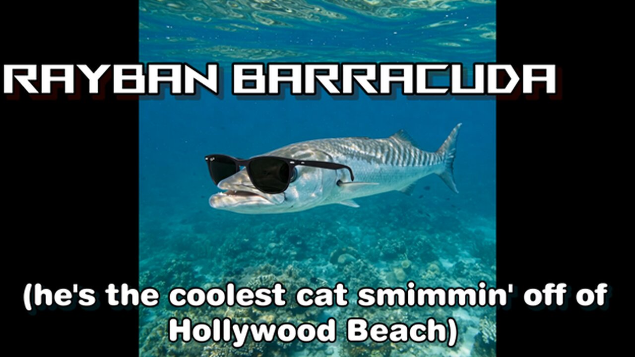 RayBan Barracuda