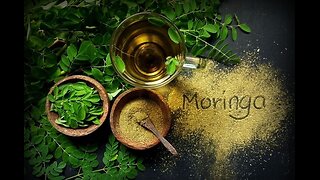 Moringa: Big Pharma’s Worst Nightmare – Watch Carefully! (Video)