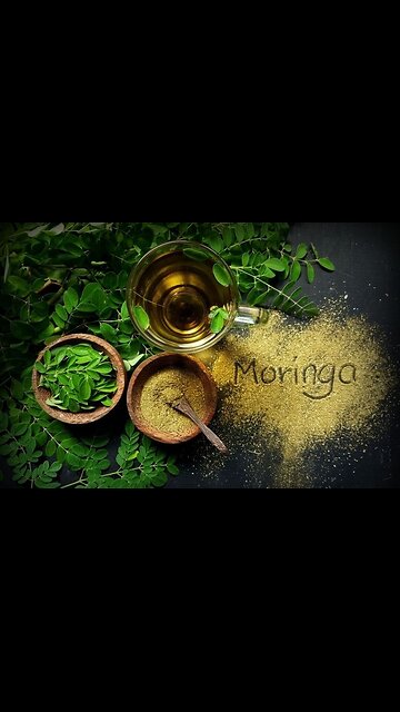 Moringa: ⚠️BIG PHARMA'S WORST NIGHTMARE - WATCH CAREFULLY!