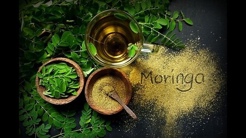 Moringa: ⚠️BIG PHARMA'S WORST NIGHTMARE - WATCH CAREFULLY!