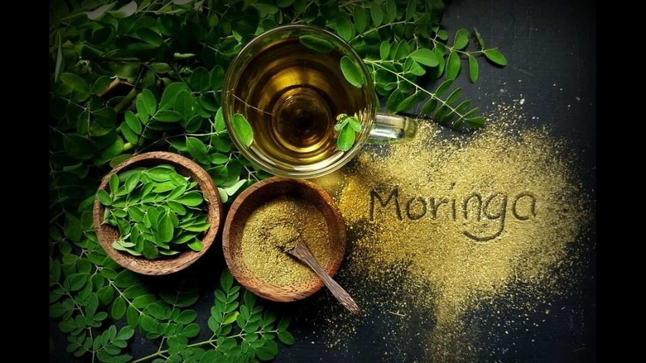 Moringa: ⚠️BIG PHARMA'S WORST NIGHTMARE - WATCH CAREFULLY!