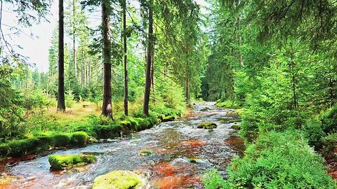 Vibrant Mountain River Sounds for Energy & Focus