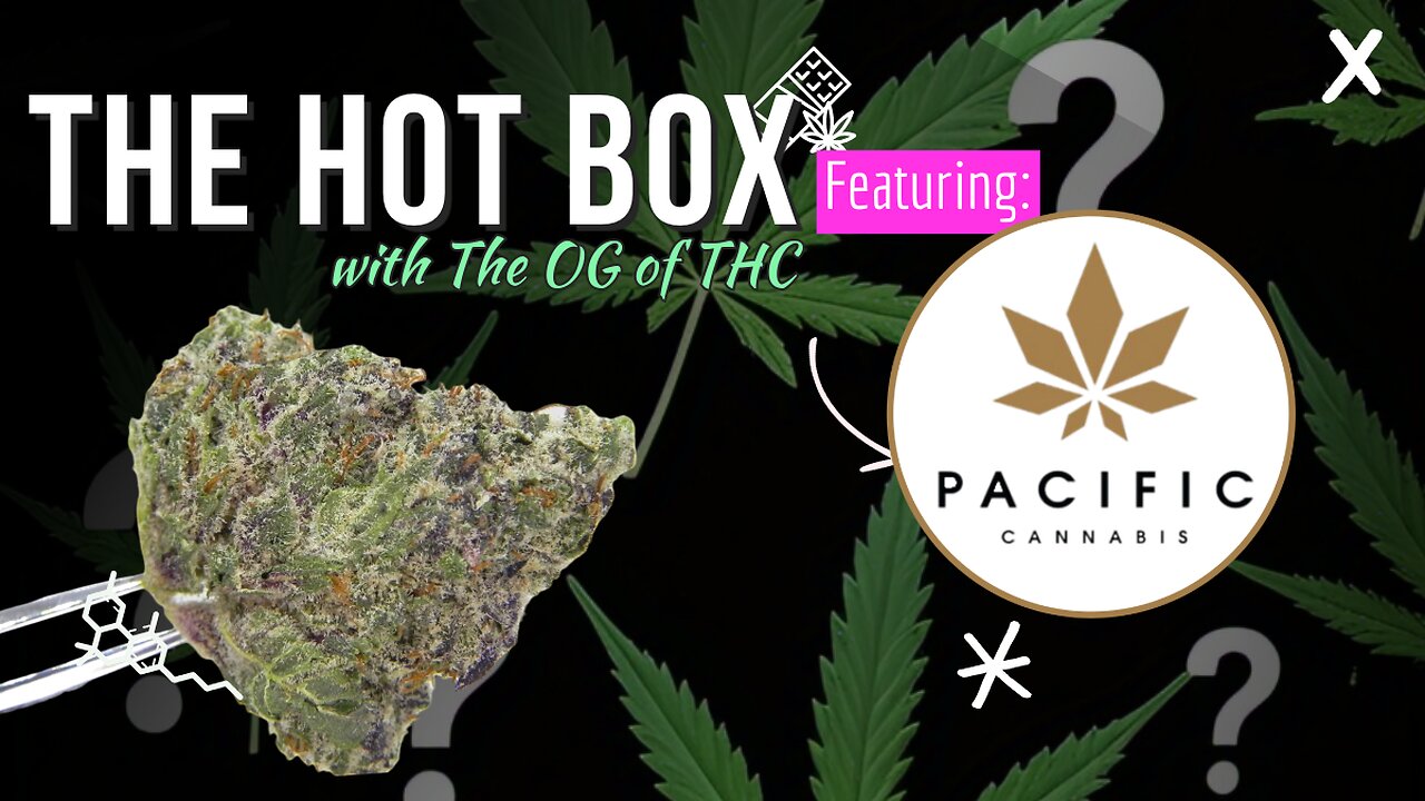 NEW DABS & CRAFT FLOWER | THE HOT BOX 🔥📦 - PACIFIC CANNABIS