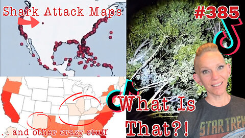 The Strangest Stuff on the Internet