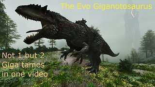 Taming 2 High Level Gigas on ragnarok--Featuring spring drakeling