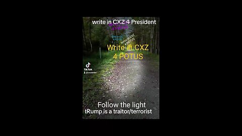 Ziemba/Chaney=1 President 2028