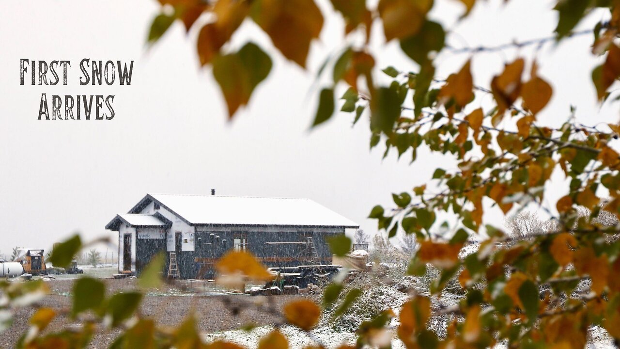 Snow Arrives on Our Little Homestead in the Mountains - Time to Be Ready For Winter to Settle In!