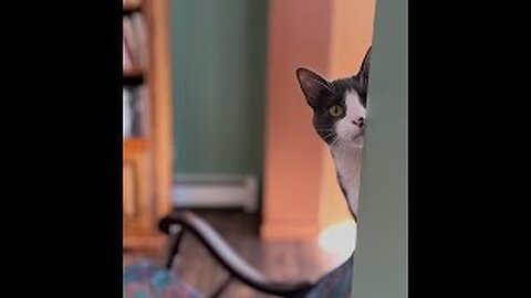 Episode 3060 CWSA 01/02/26