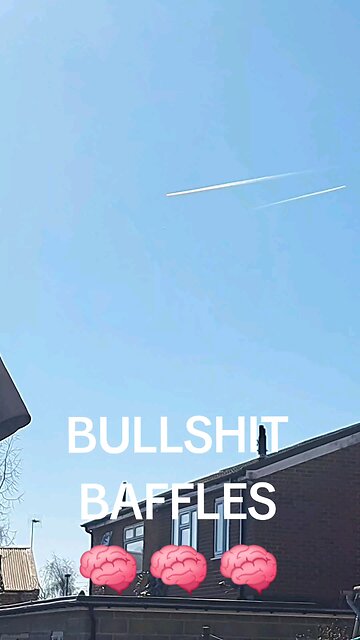 BULL SHIT BAFFLES 🧠 🧠 🧠