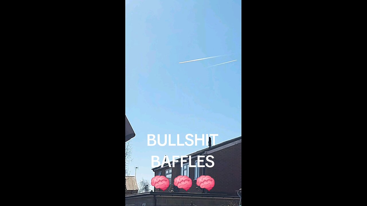 BULL SHIT BAFFLES 🧠 🧠 🧠