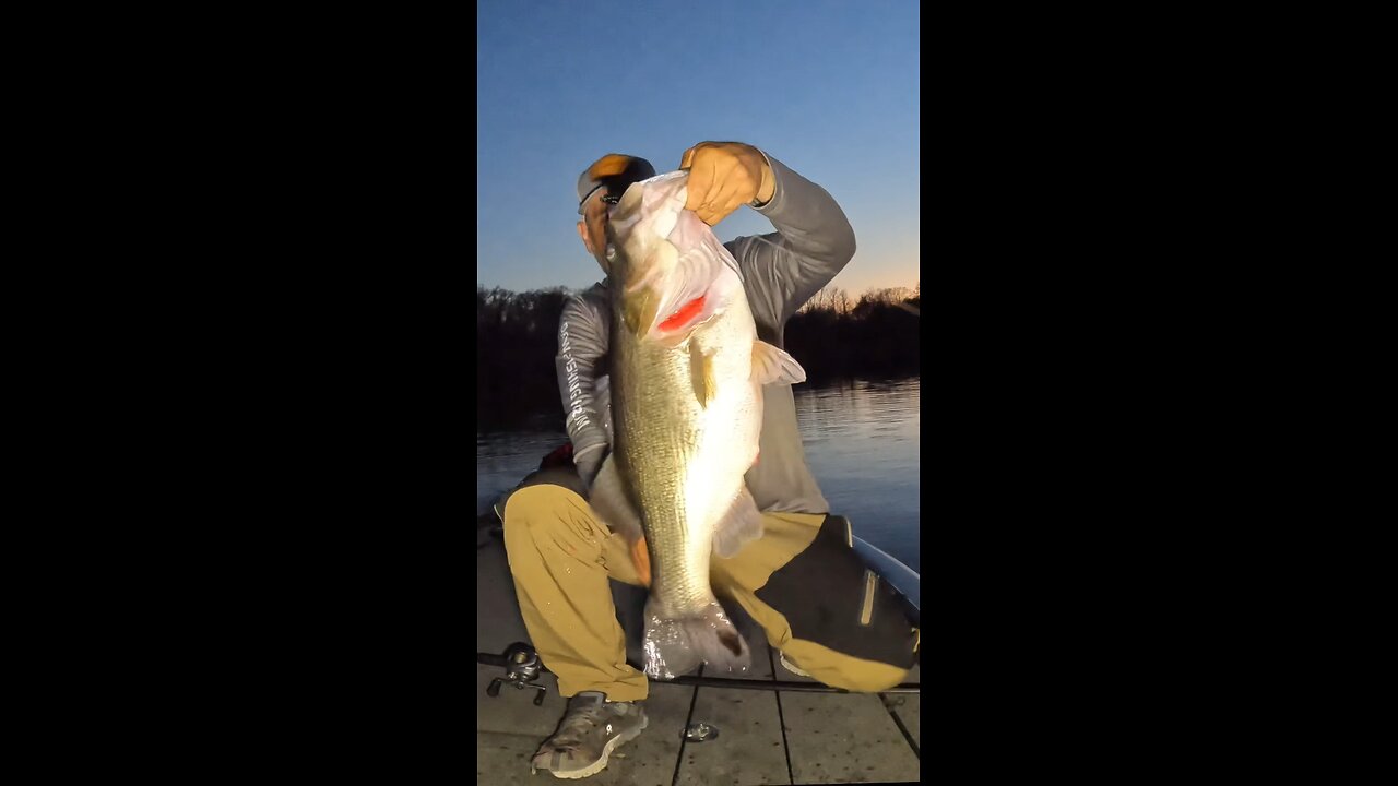 Huge bass….