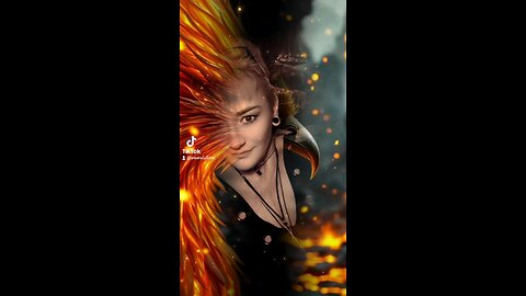 soul of a Phoenix