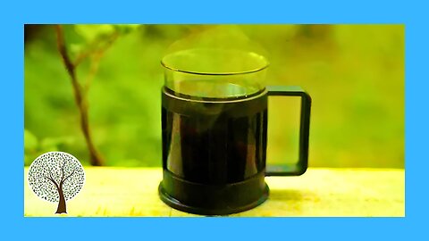 How to Uplift Your Mood | Morning Jazz 🎷 Jazz Relaxing Music