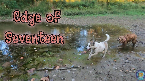 Edge of Seventeen