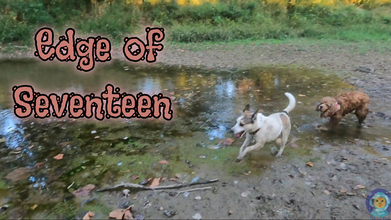 Edge of Seventeen