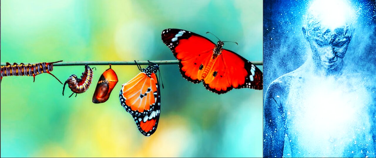IT'S ABSOLUTELY CRITICAL THAT YOU UNDERSTAND THE METAMORPHOSIS THAT IS HAPPENING RIGHT NOW!!!