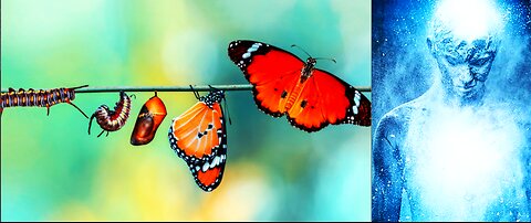 IT'S ABSOLUTELY CRITICAL THAT YOU UNDERSTAND THE METAMORPHOSIS THAT IS HAPPENING RIGHT NOW!!!