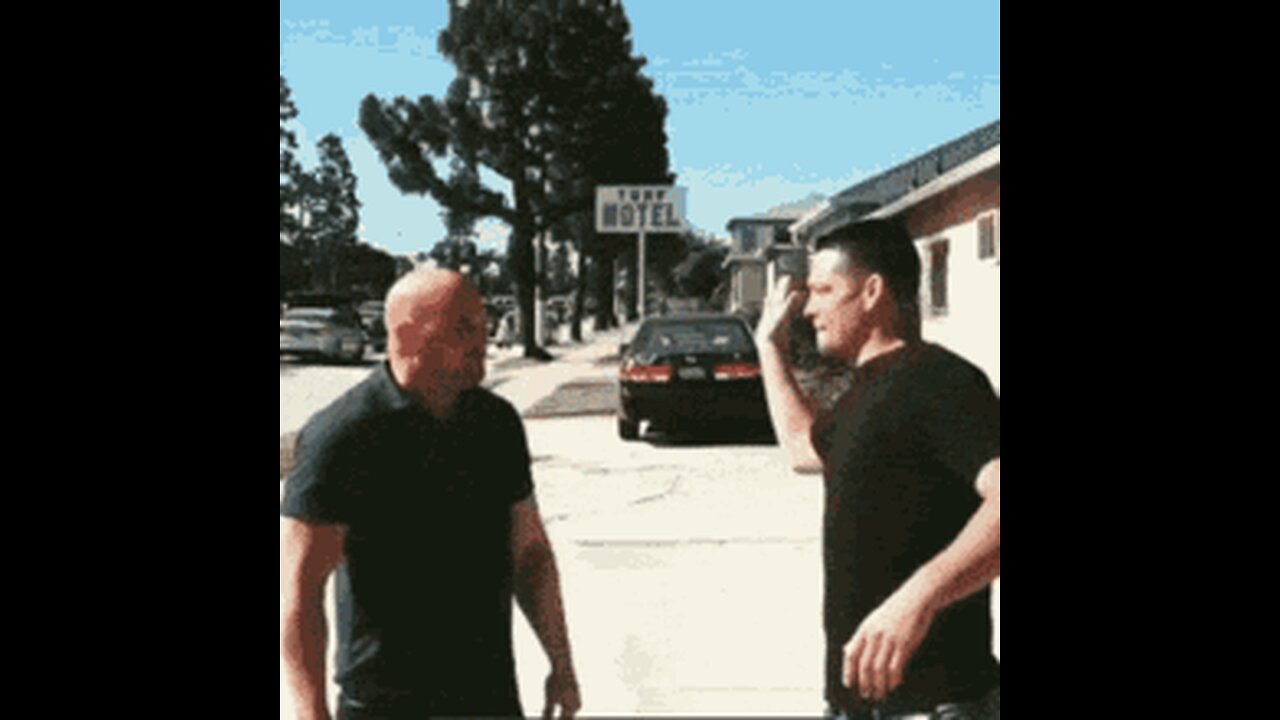 Nate Diaz Slap Dana White (boss ufc)