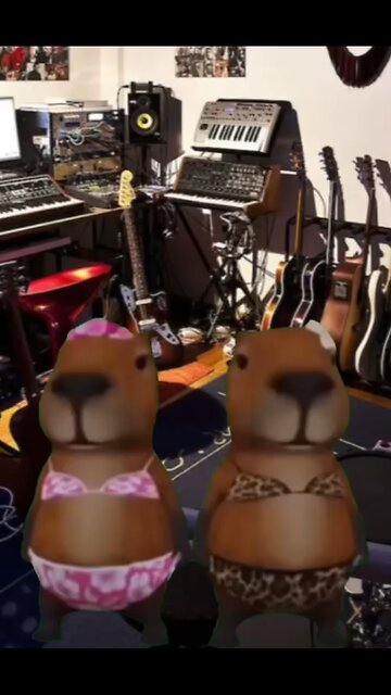 Hilarious meme videos