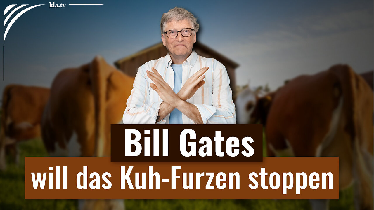 Labor-Futter für „klimaschädliche“ Kühe