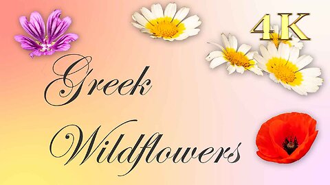 Greek Flowers