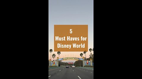 Disney World Tips for Success