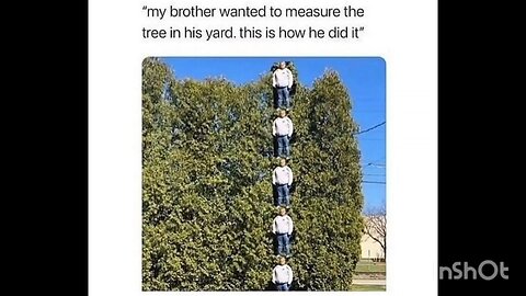 "my brother wanted to measure the tree in his yard. this is how he did it"