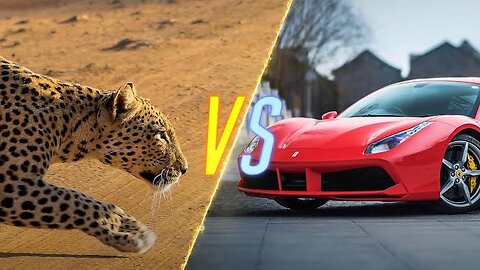 World Fastest Car VS Cheetah 🤯🔥