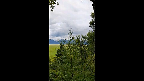 Scout Loop Lookout