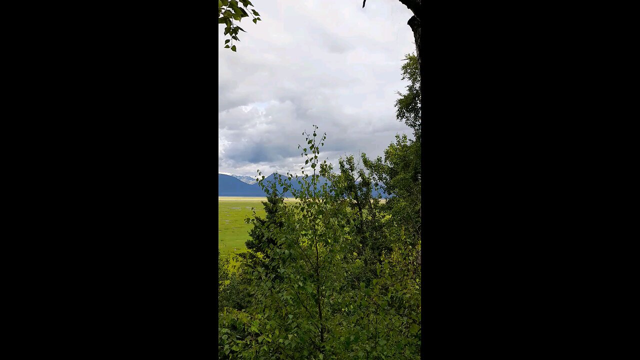 Scout Loop Lookout