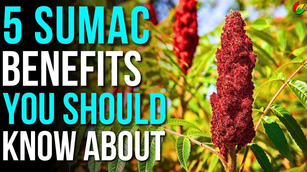 Unlock Five Dazzling Perks of Sumac to Supercharge Your Wellness! G28