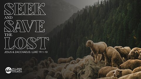 Seek and Save the Lost (Luke 19:1-10)