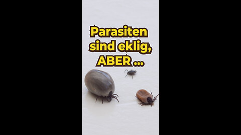 Tierärzte übertreiben es bei ...