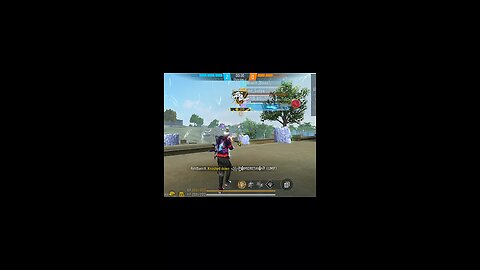 Custom Highlights