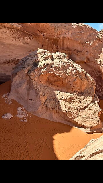 Baby Dragon Petrified?