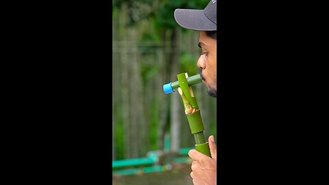 Bamboo shoots