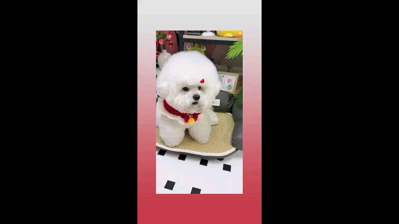 जब कह दिया नही खाना