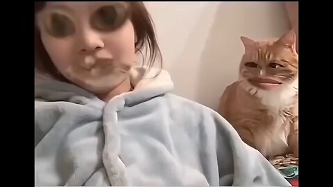 funny video