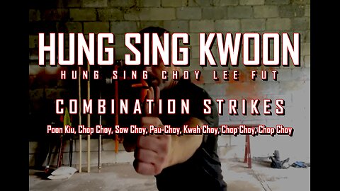 Hung Sing Choy Lee Fut Combination practice