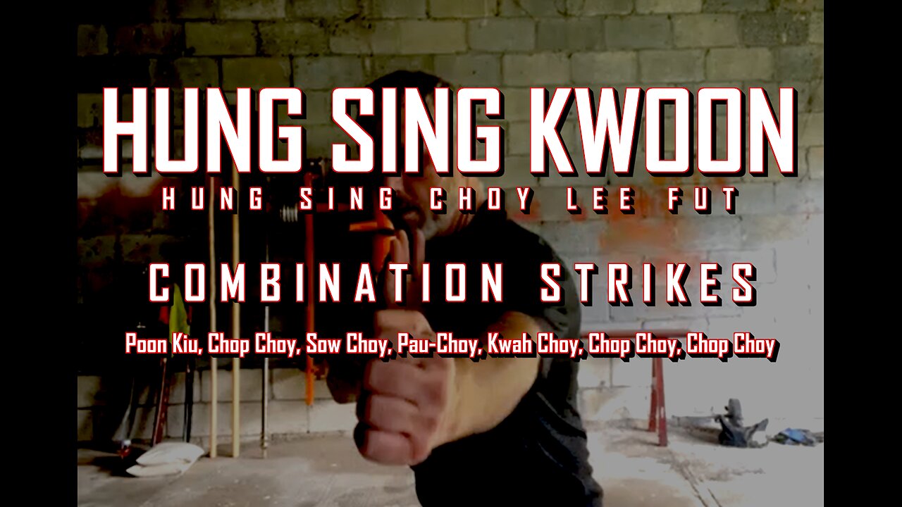 Hung Sing Choy Lee Fut Combination practice