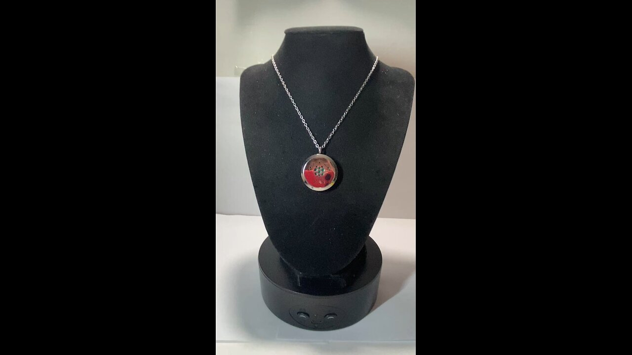 Mini-Vlog: Stop & Shop: Adorable Polished Metal SEA TURTLE Pendent Locket w/ 18” Necklace Chain