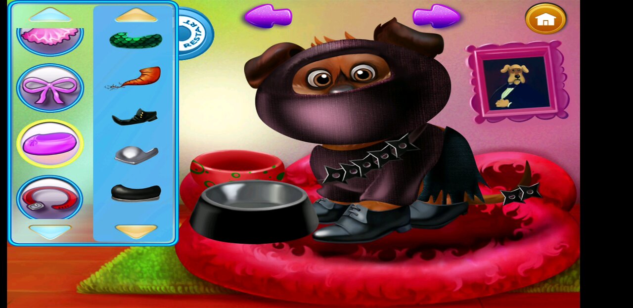 Old Opulence puppy care