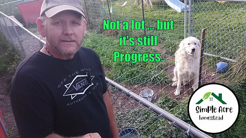 Not done! But they're moving in anyway! The DIY aviary saga