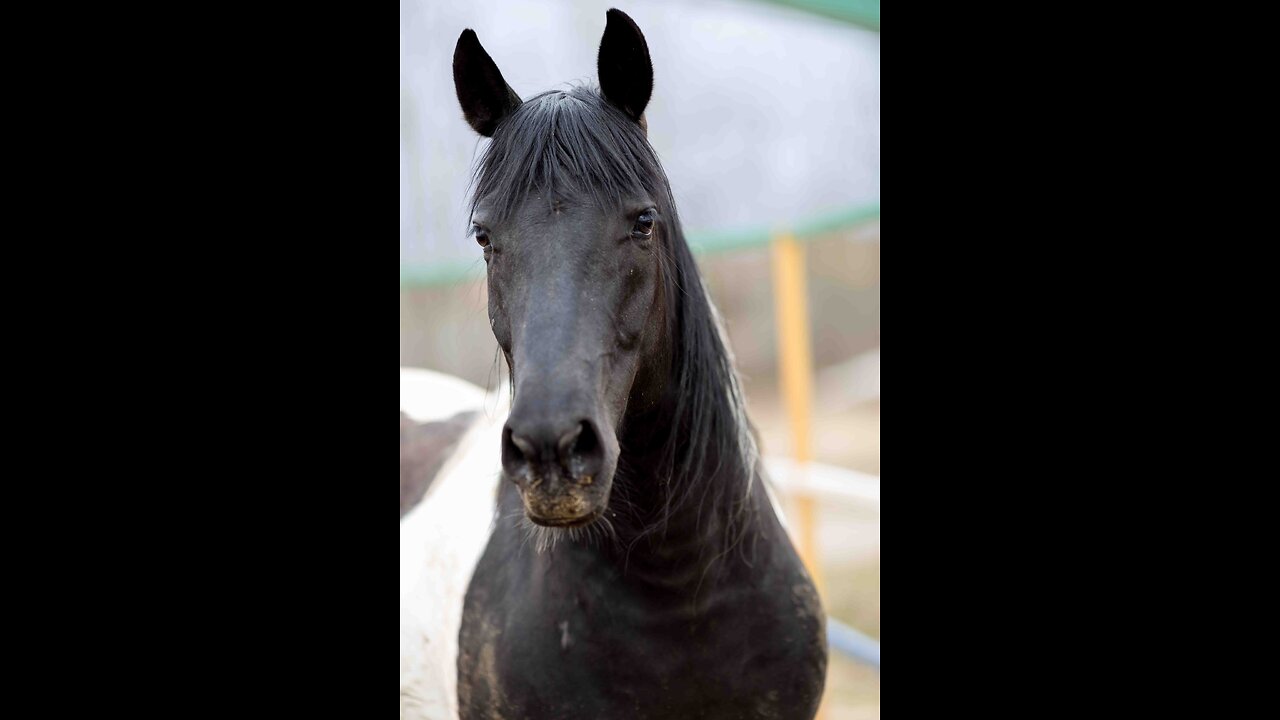 legend of sleepy hollow